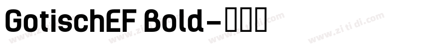 GotischEF Bold字体转换